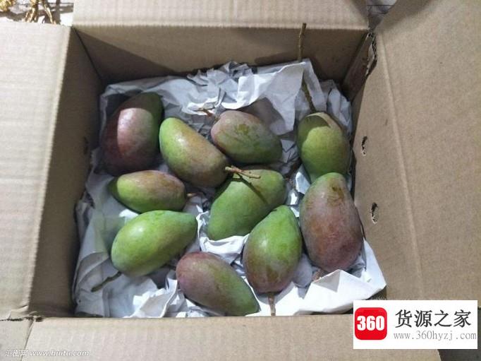 怎样让青芒果变黄