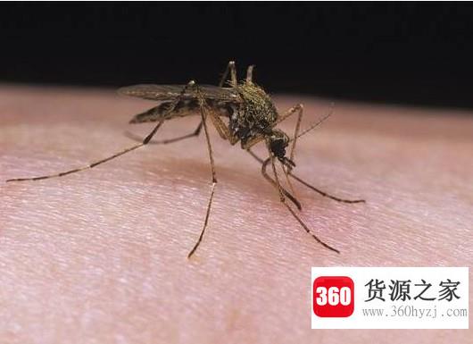 夏季怎么预防病毒性出血热？