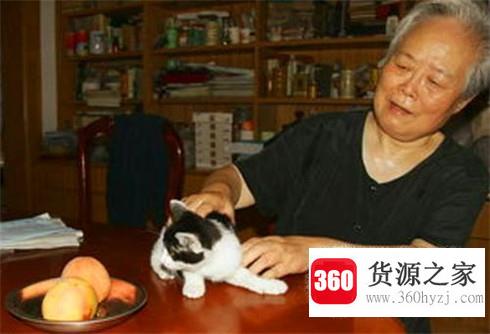 野猫到家中怎么办