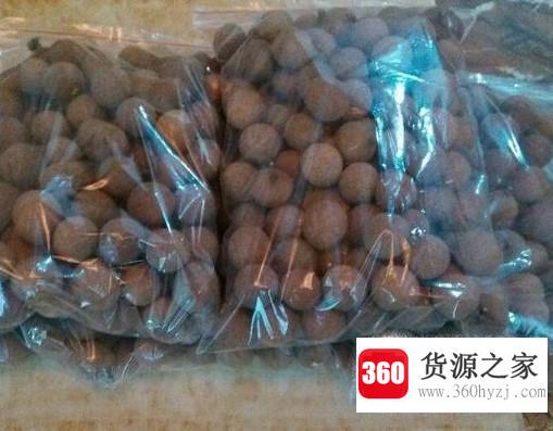 怎么自己晒桂圆