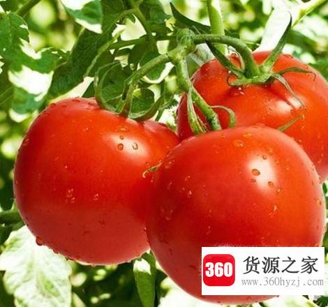 女生怎么让胸部变大