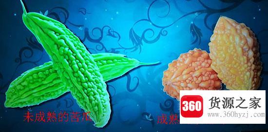 赖葡萄和苦瓜的区别