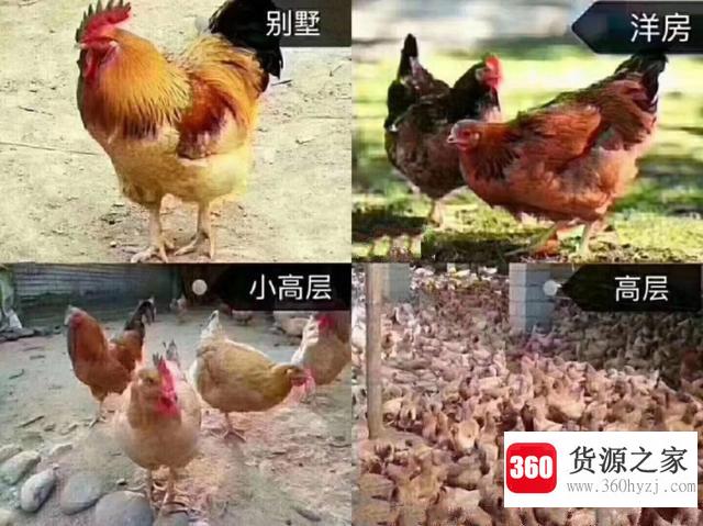 容积率是什么意思？