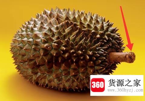 榴莲不熟怎么办