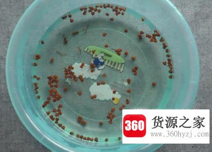 泡脚去寒气湿气的方法