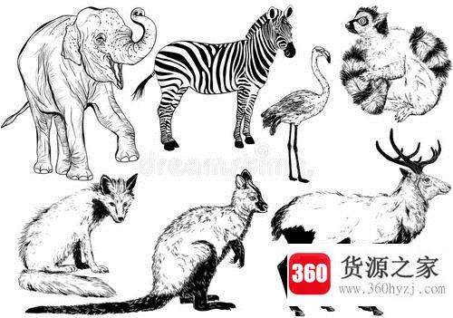 柳树靠什么传播种子？