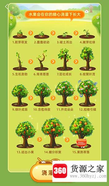 芭芭农场种水果一共几个阶段？