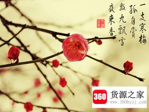 五九是什么日子？
