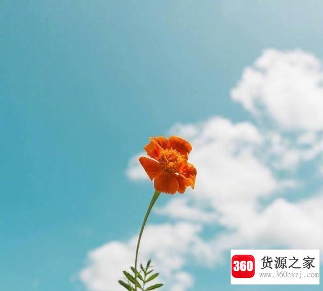 早安暖心话有哪些？