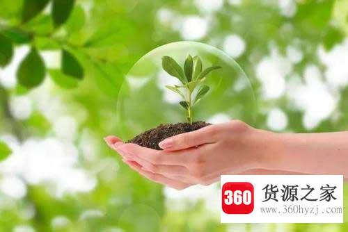 植树节的由来是什么？