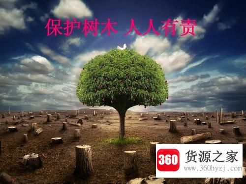 爱护树木的宣传标语有哪些？