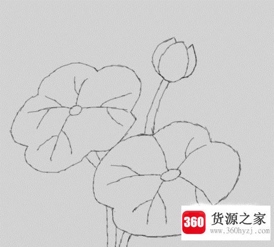 怎么简笔画一朵美丽的荷花？