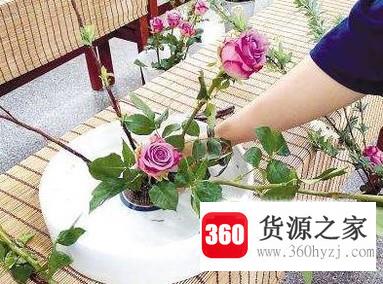 教你怎么快速又美观的插花