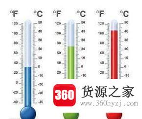 彩色马蹄莲的养殖方法