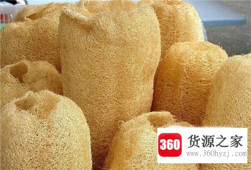 绿萝换盆有什么技巧？