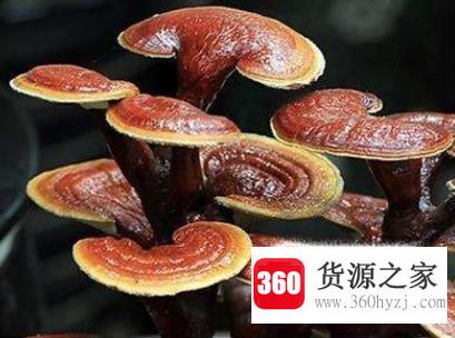 最适合庭院种植的十二种吉祥植物