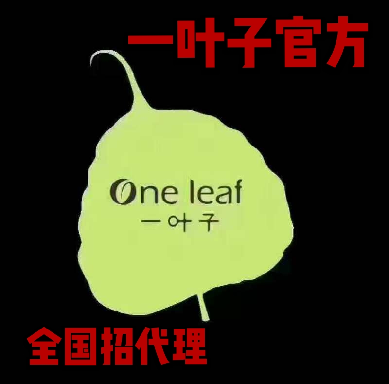 比较火爆的一叶子微商怎么代理