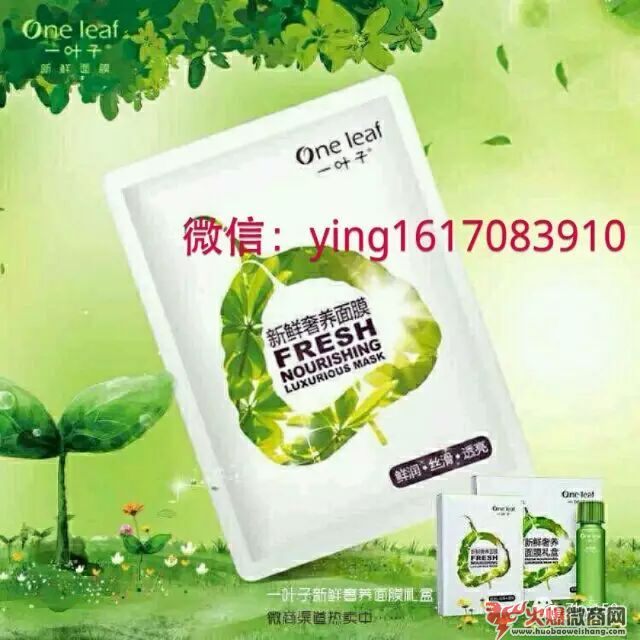一叶子化妆品代理好做么