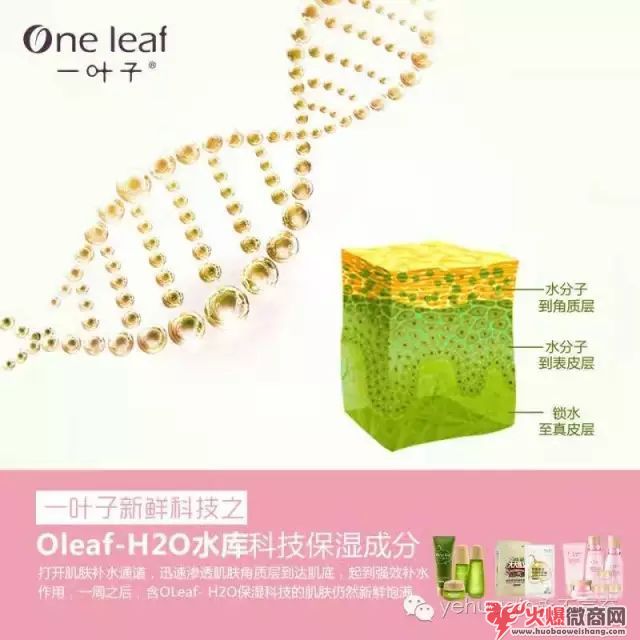 一叶子面膜微商招代理