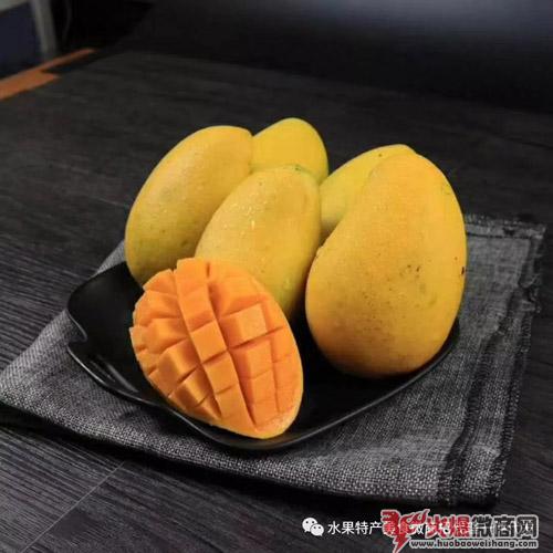 5个微商特产水果代理货源