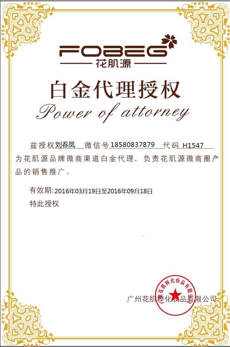 7个微商啫喱代理货源