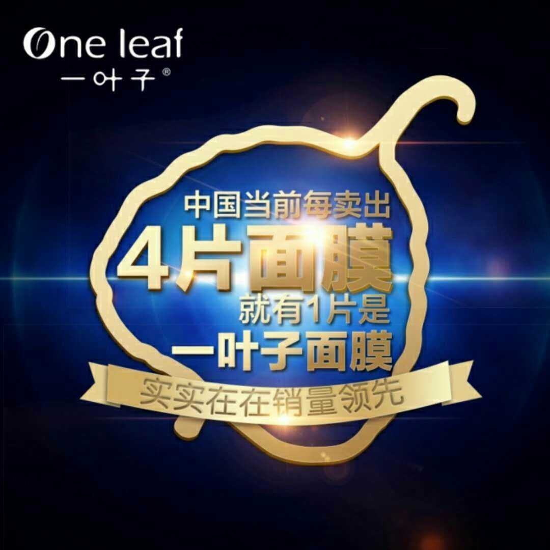 一叶子面膜微商代理价格是多少