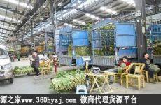 漳州芗城区东岳蔬菜批发市场