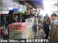 上海最大的花鸟市场