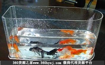 书房水族市场