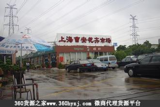 造景