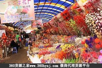 济南花鸟市场大全