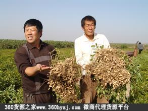 东营市生产资料交易市场