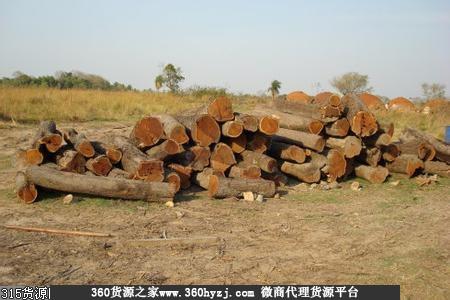 唐山龙凤木材市场