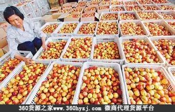 北京国际精品水果中央批发市场