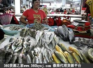 福建泉州华洲水产