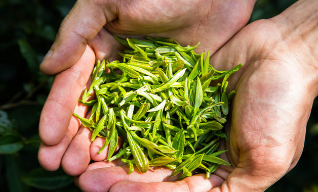 杯子上的茶垢怎么洗