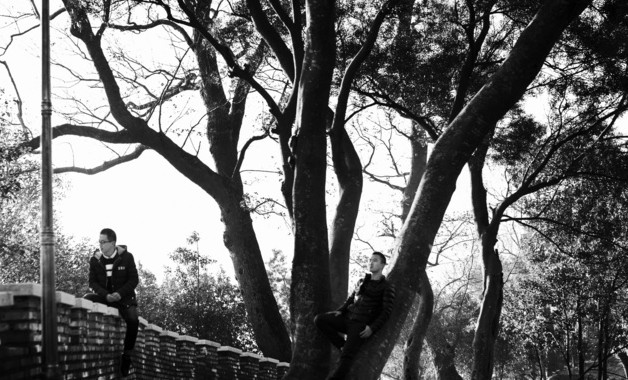 拼多多高佣联盟