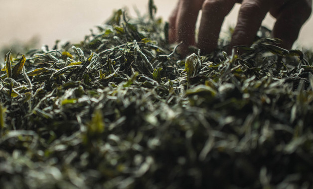普洱茶饼开茶