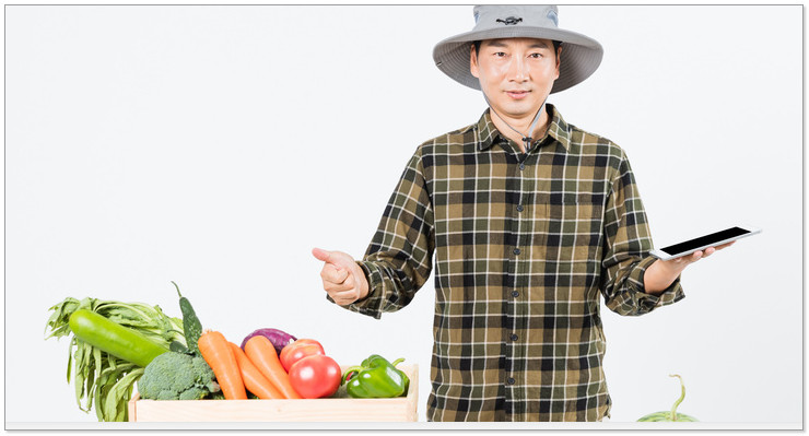 拼多多那么便宜还包邮怎么赚钱