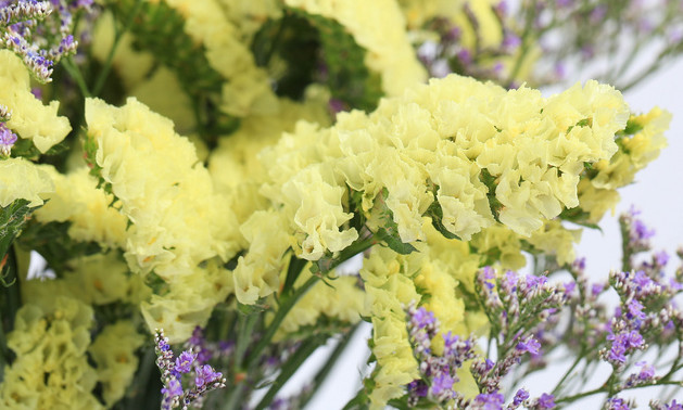 农村春节卖各种鲜花利润大